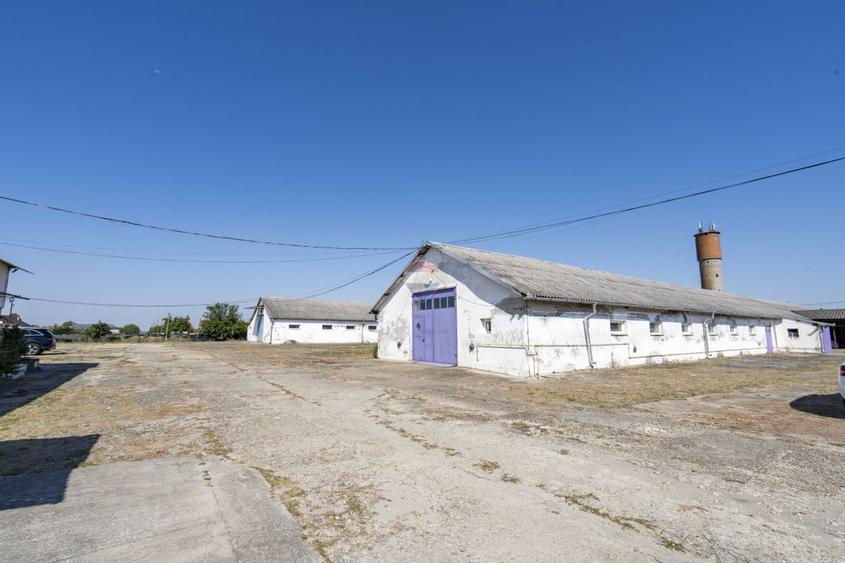 Proprietate industrialǎ 3 hale, teren 12.190 mp