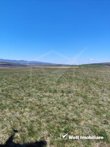Teren extravilan in Ciurila