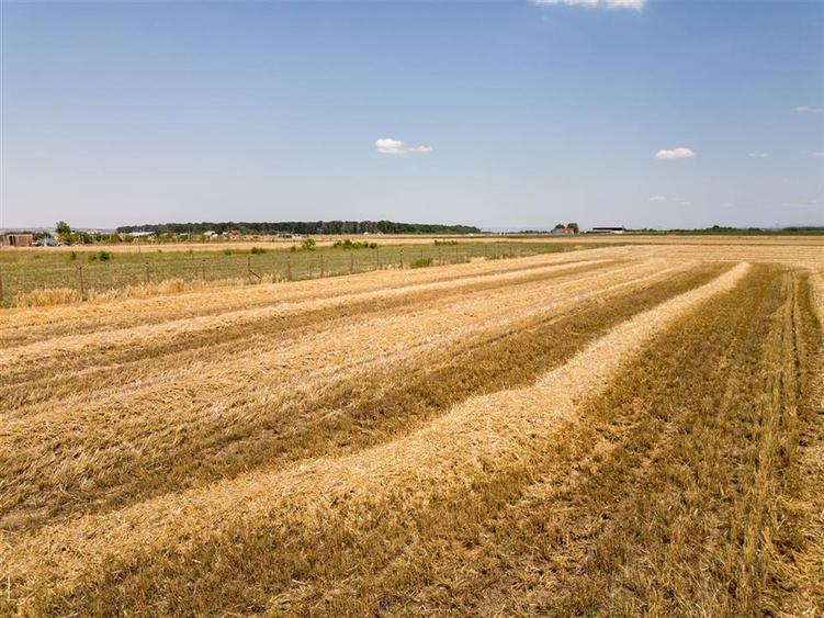 RECO Teren industrial in Nojorid la doar 6km de Oradea