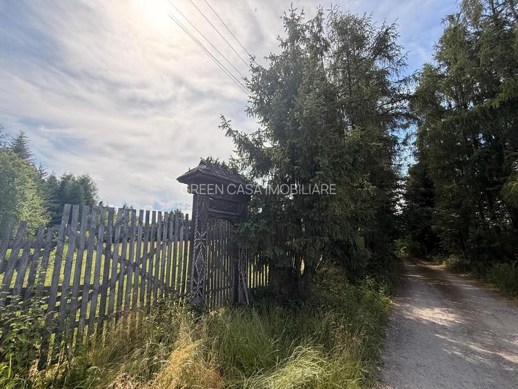 Teren intravilan 5.755 mp | Zona Muzeul Satului Maramureșean, Sighetu Marmației - 6