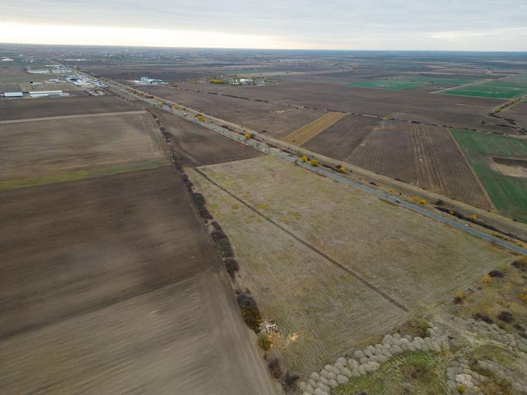 Teren 22.500 mp–Pecica, jud. Arad,Posibilitate PUZ