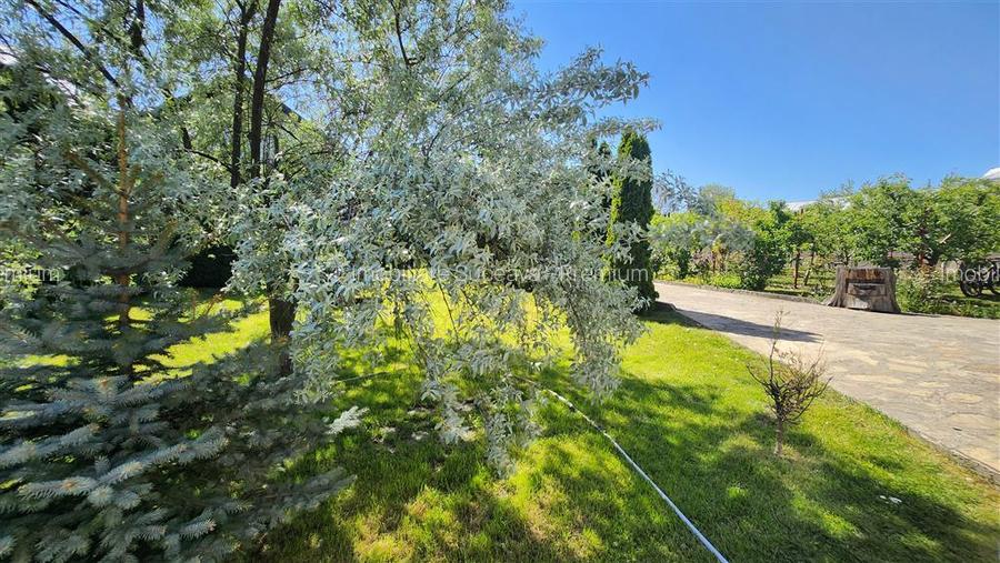 Reședință Premium în Ipotesti | 500 mp | 2780 mp teren | 726 - 16