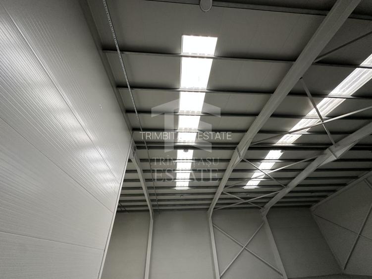 CENTURA - Rudeni | HALA 510 mp| Birouri 60mp | Parc Industrial nou - 6
