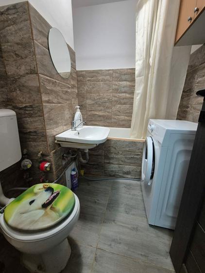 Costin Georgian vanzare garsoniera Barajul Bicaz