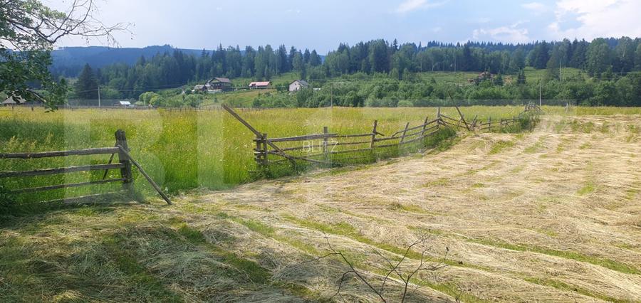 Teren 10.000 mp, intravilan, zona Neagra Sarului - 3