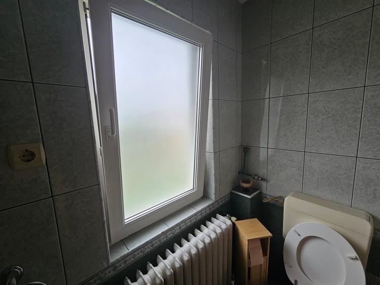 Închiriere casă P+E, 3 camere, 2 băi, curte, C. Șagului - Brâncoveanu