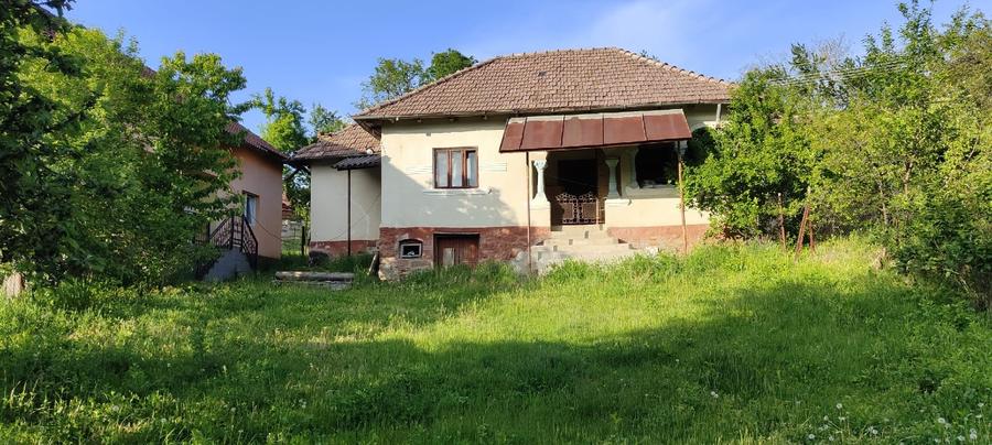 Casa+ casa batraneasca Surupate(Comuna Francesti, Valcea)