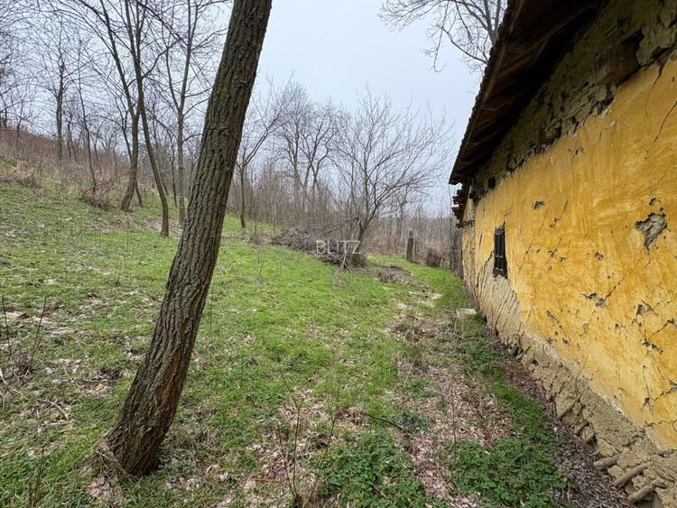 Teren 2.038 mp + Casă 50 mp de vânzare – Sat Luncsoru, Com. Ghercești - 9