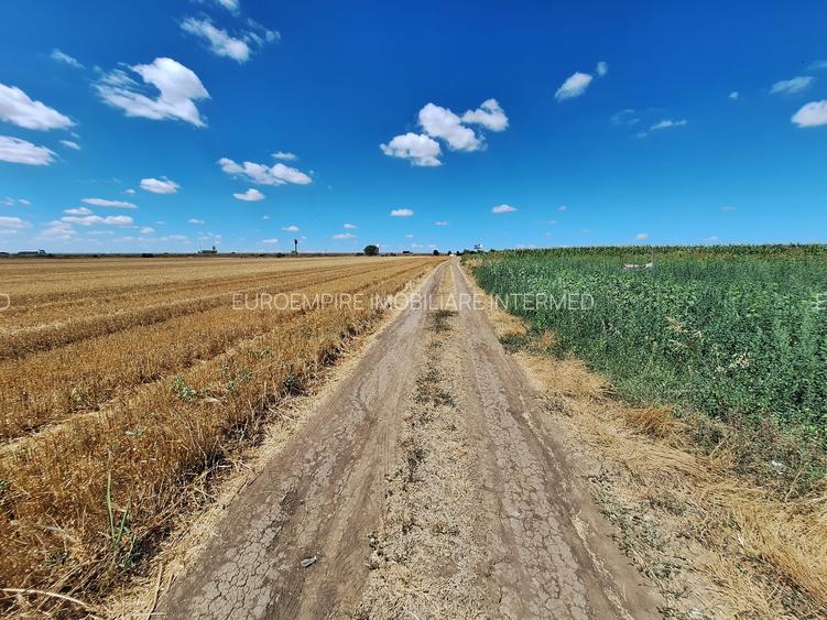 Teren de vanzare intravilan 5000mp localitatea Lazu - 3