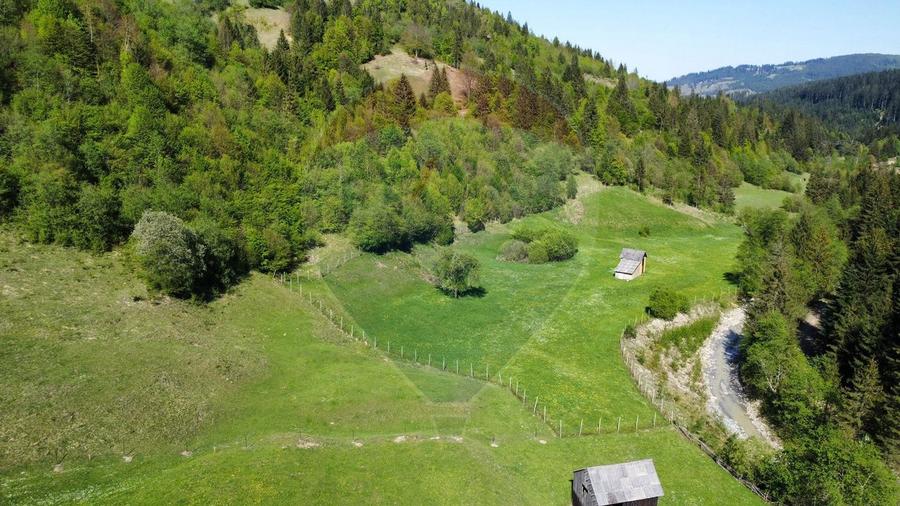 Teren 12,127mp Frasin / Drumul Forestier Valea Seacă