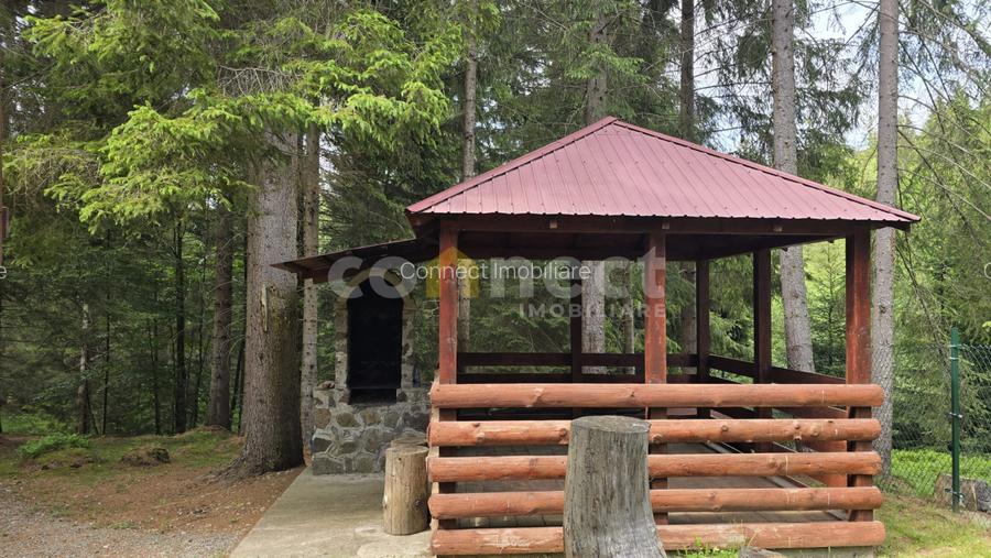 De vânzare casă de vacanță deosebită | Călățele Pădure – Dealul Negru, Cluj - 2