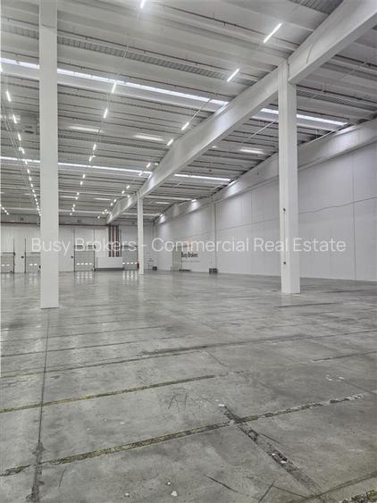 Spatiu Industrial - 3000 mp - Logistica - Productie - Depozitare - Distributie - 4