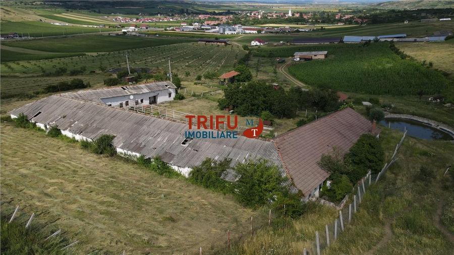 Ferma De Vanzare In Comuna Ighiu !