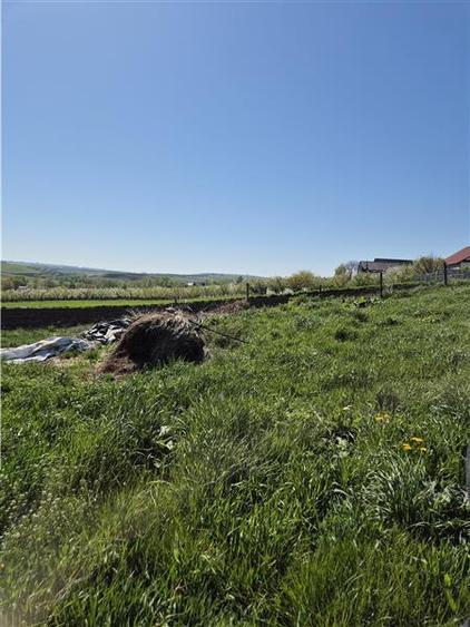 Teren intravilan Moara Nica - 1950 mp