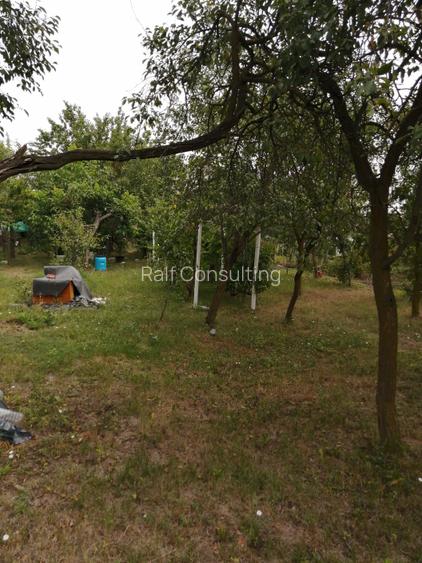 De vanzare teren intravilan, în vatra satului, cu casa veche demolabila, 903 mp - 2