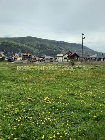Teren constructii Piatra Neamt