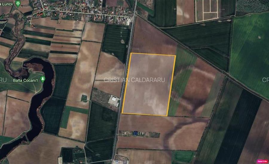 Vanzare teren intravilan Crevedia - Cocani - DN1 A, Dambovita - 3