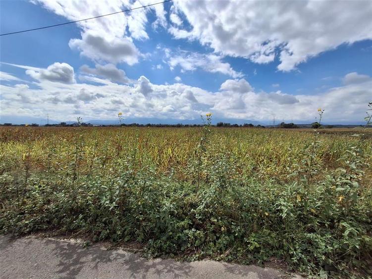 Teren extravilan 15000mp drum asfaltat zona Selimbar