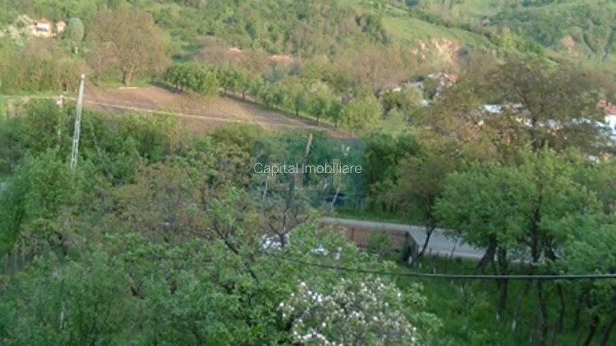 Vanzare sau Schimb! Central Drajna de Jos 5000 mp - 4