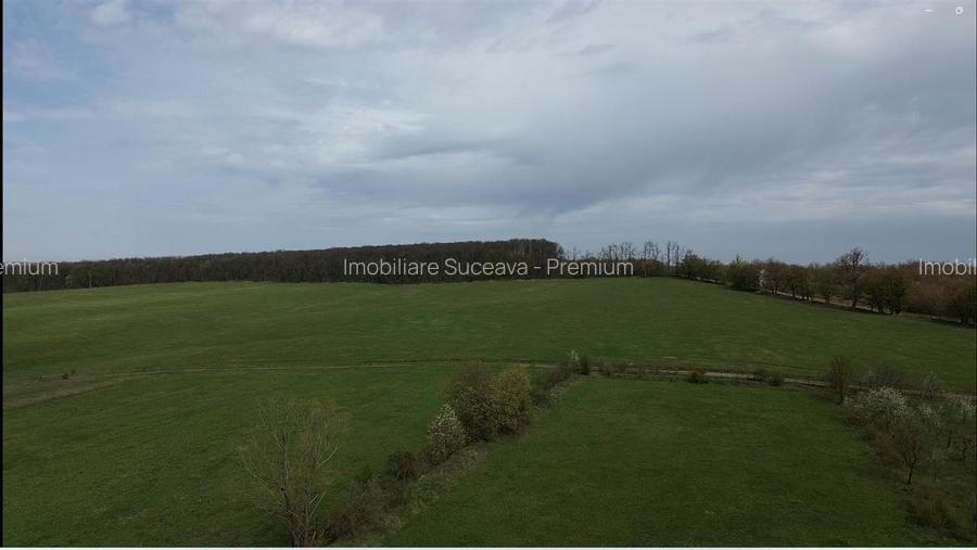 Teren intravilan de vânzare în Mitocu Dragomirnei | 5.800 mp | 43 m de - 3