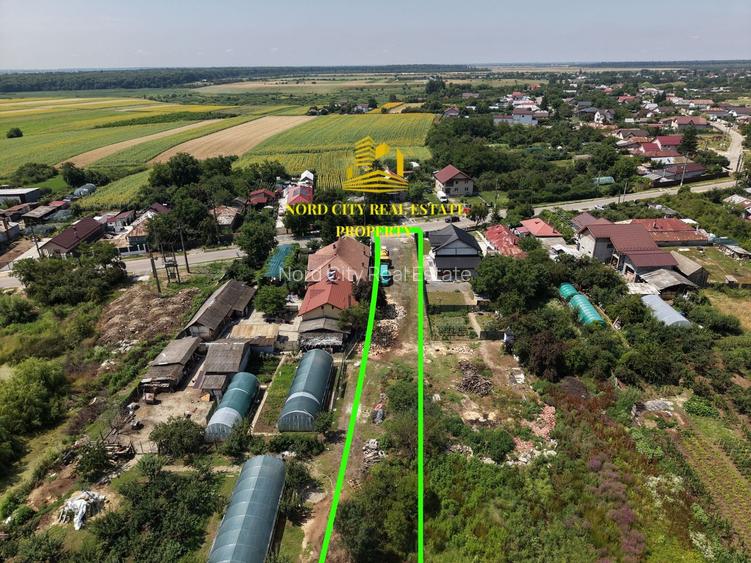 Teren 2.700 mp Ciocănești - Urziceanca | La asfalt - 11