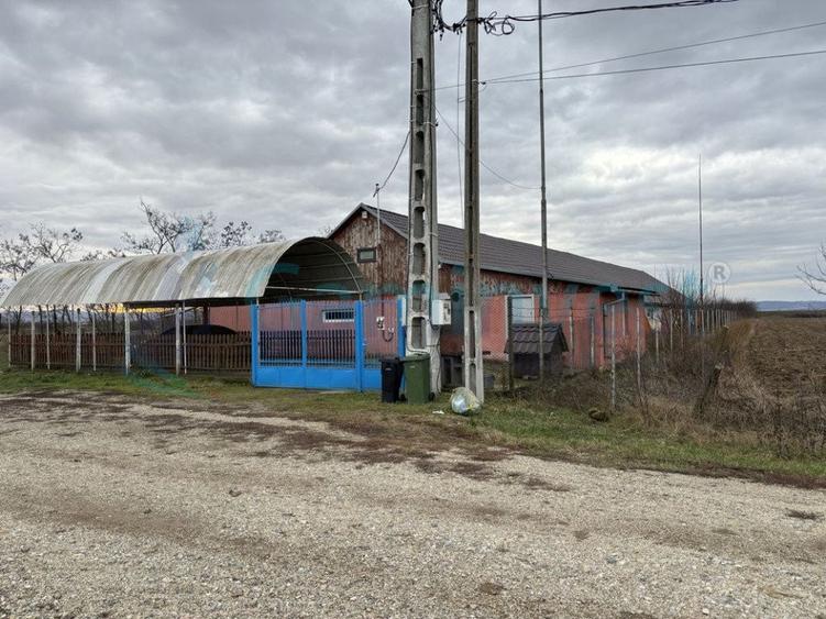 De vanzare atelier, casa si teren, Sabolciu, Bihor, Romania