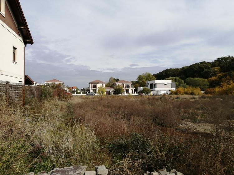 De vanzare teren , pădure zona Bălcescu suprafață 850 mp doua parcele în oglinda