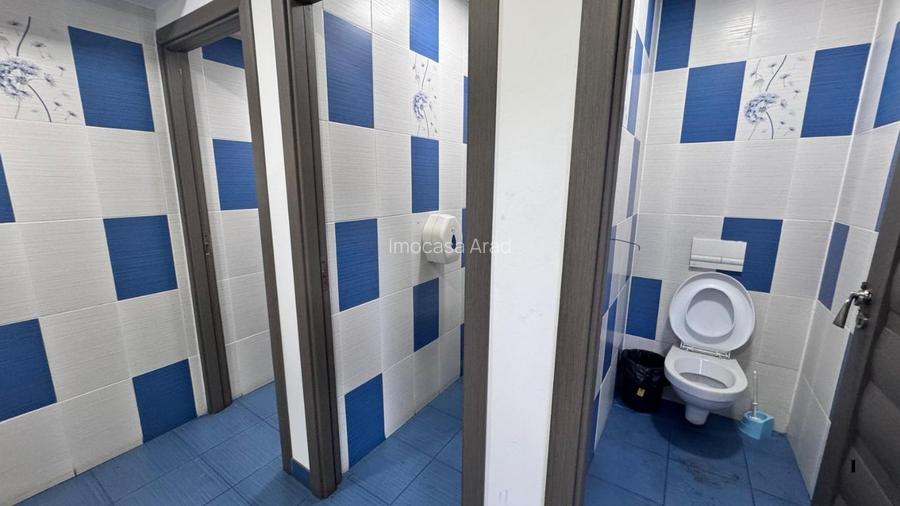 Hală industrială de închiriat 1500-3400 mp uta Arad - 21