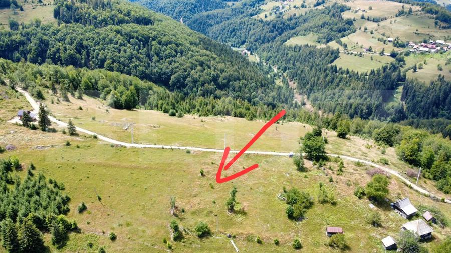 Teren intravilan, 3000 mp, Sat Garda de Sus