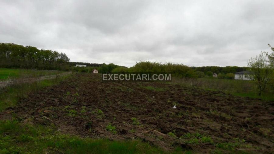 SNAGOV SAT - Teren- 2410m² - Toate utilitatile - Zona de Vile