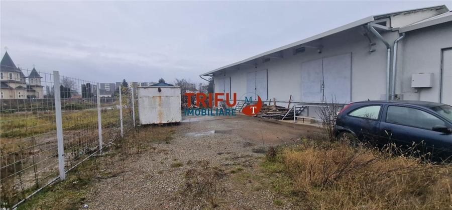Oportunitate de Achiziție: Spațiu Industrial în Alba Iulia