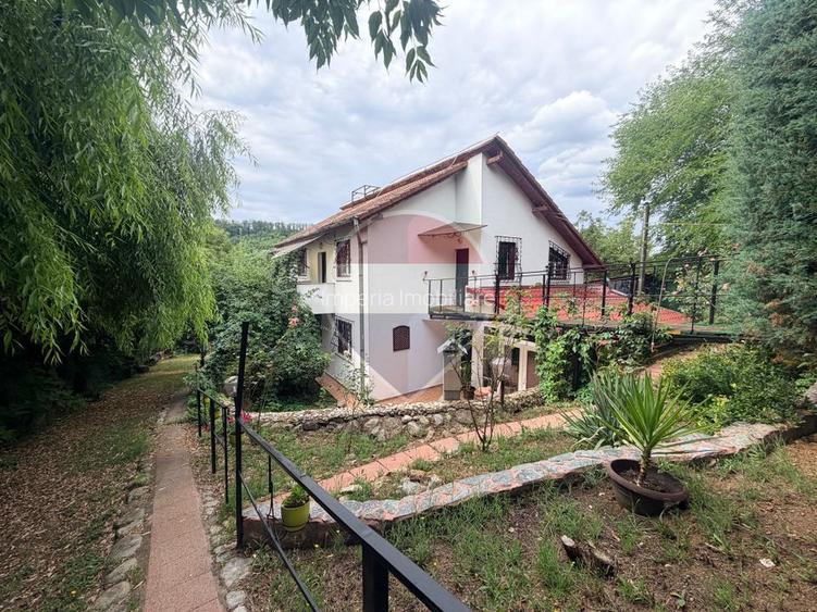 Leamna de sus, casa cu piscina, 2000mp - 5