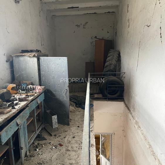 Complex industrial/Ferma de vânzare | Orțișoara, jud. Timiș - 24