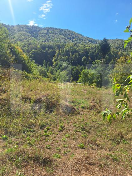 Teren de vanzare, 4847 mp, cabana, zona Nadrag - 3