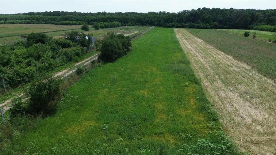 OCAZIE - Teren Intravilan - 8300 mp, Gruiu - Padurea Snagov