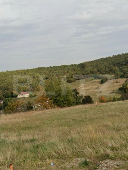 Teren intravilan de vanzare, 15 ari, Zalau