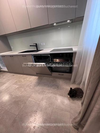 Babu Presents: 2x Two Room Apartments at Luxuria Residence | 65 sqm Each - 2