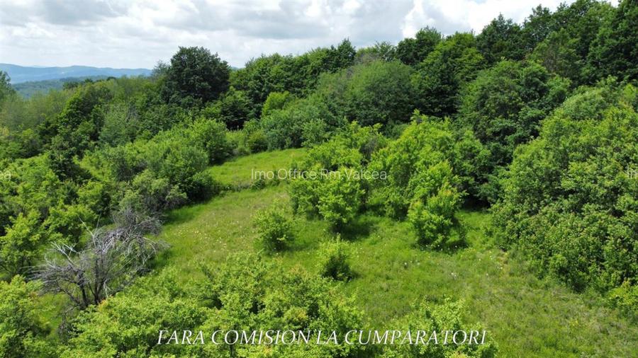TEREN 19.822 MP CADRU NATURAL MINUNAT