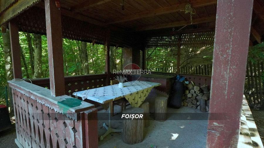 Sub padure, casa si teren de vanzare in Baia Mare - 29
