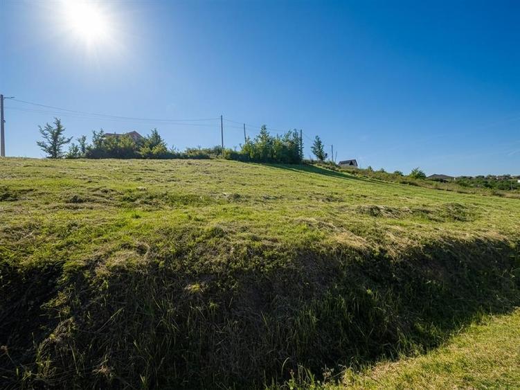 RECO Teren 1000 mp cu dublu front stradal in Saldabagiu de Munte