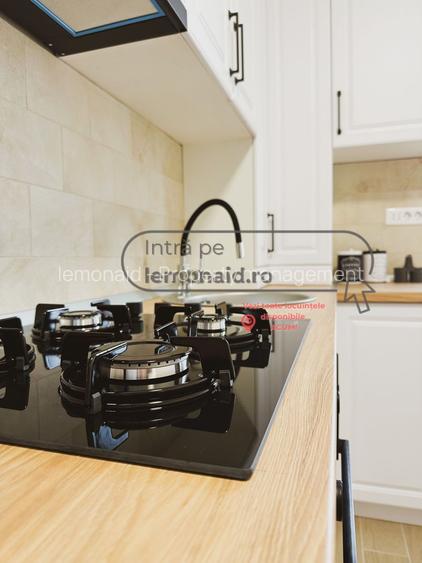 Apartament cu 2 camere de închiriat - Braytim - 8