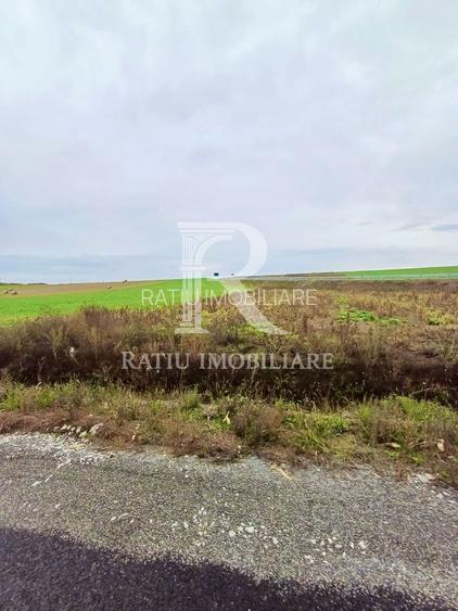 Teren Investiție | 25 €/mp | Acces Drum Metropolitan OSORHEI - 4