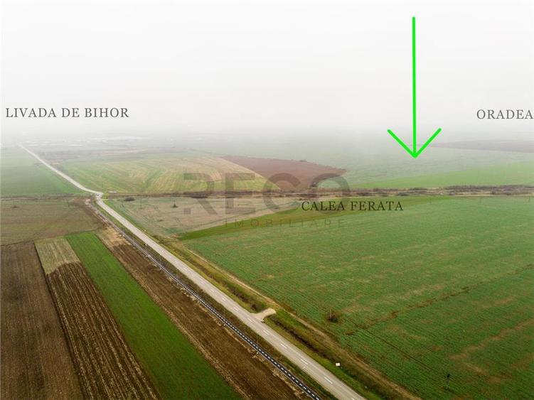 RECO Teren extravilan 5800 mp Livada de Bihor