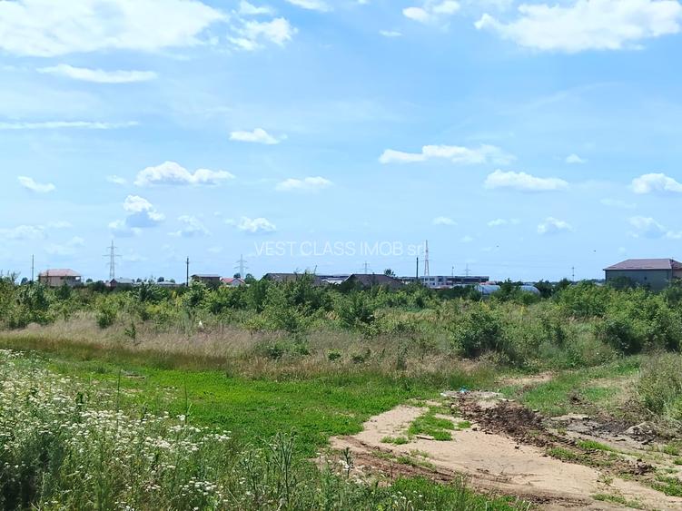 Teren intravilan,orasul Pantelimon,strada Plantelor si Gradinarilor - 8
