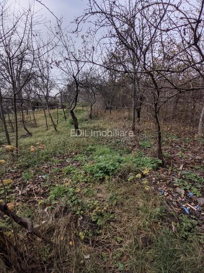 Casă de vânzare, 2 camere, 60 mp, 900 mp teren Dâmbul Rotund zona Dedeman - 6