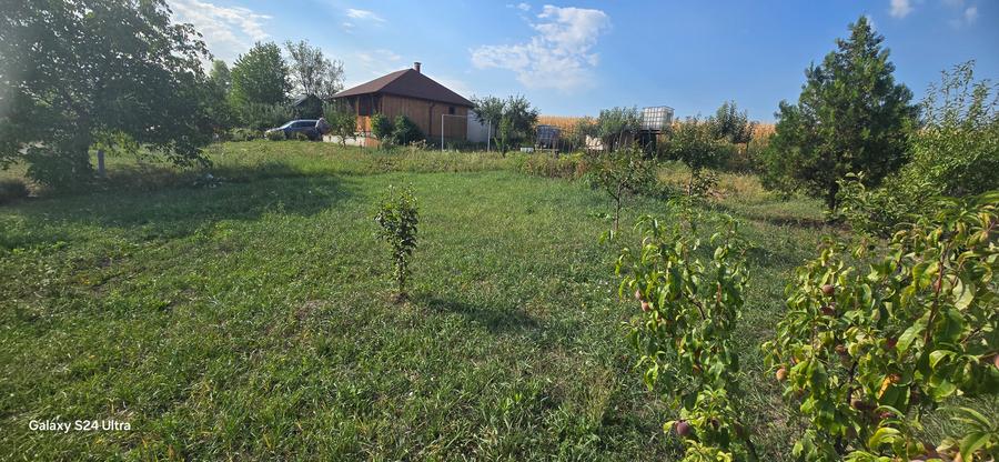 Teren cu cabanuta de lemn in Zaicesti