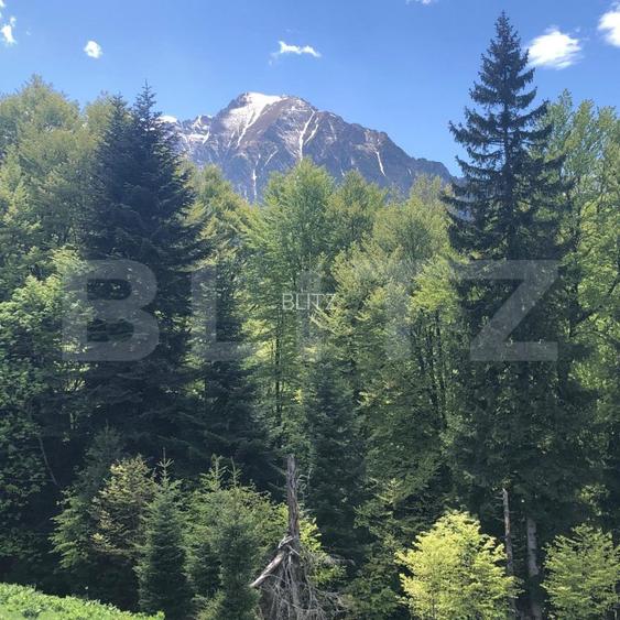 De vanzare, teren intravilan 2100mp, Predeal - 6
