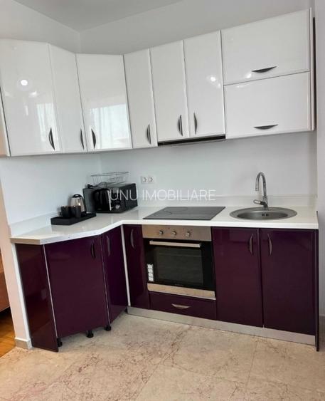 Exclusive Residence-Etaj intermediar-Apartament 1 camera-Copou - 4