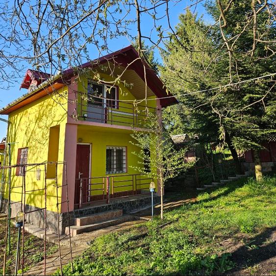Proprietate 4200 mp Căndărăi cu cabană, livadă și anexe