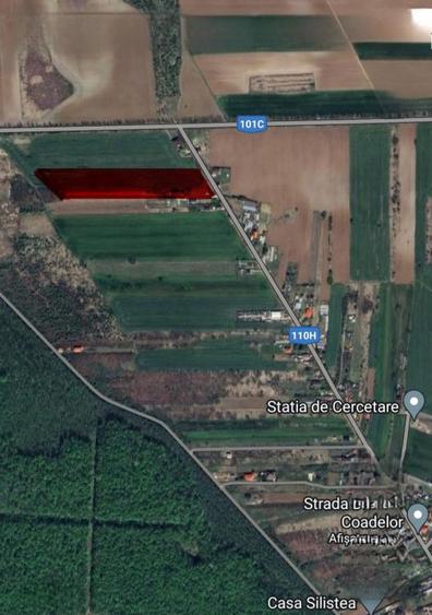 Teren de vanzare in Silistea Snagovului - 13.800 mp.